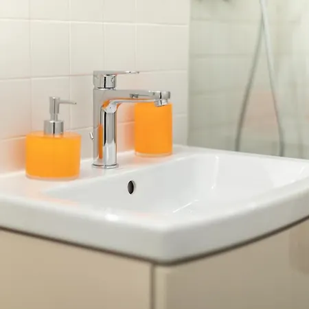 Miraj Downtown 티미쇼아라