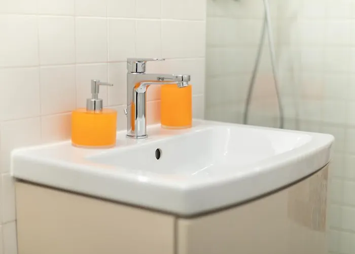 Miraj Downtown 蒂米什瓦拉